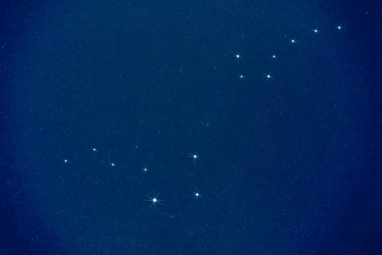 cosmos-accueil